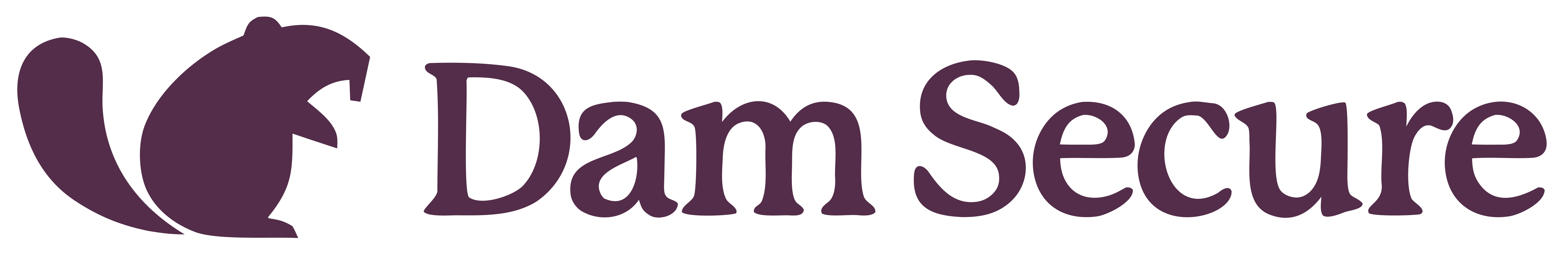 Dam Secure Company Logo